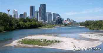 18 things to do in Calgary this week: August 2 to 8 | Listed - Daily Hive