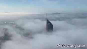 WATCH:  Fog envelopes city skyline in Brisbane