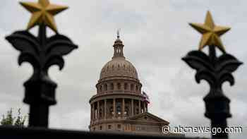Texas audit proposed by GOP would miss minor but real errors