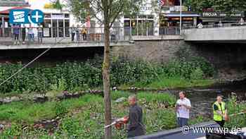 Siegen: Baum-Fällung wird Fall für den Staatsschutz - WP News