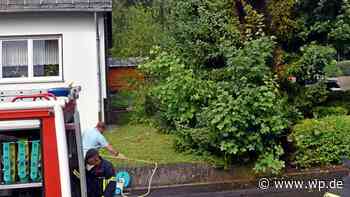 Siegen: Baum brennt neben Haus – Bewohner löscht selbst - Westfalenpost