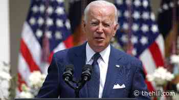 Biden approval takes a hit as coronavirus surges, poll shows | TheHill - The Hill