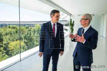 Sánchez, a Tim Cook: "No hay mejor ocasión para que Apple invierta en España" - EFE - Noticias
