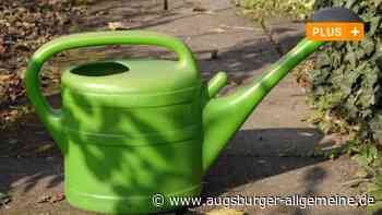 Bund Naturschutz gibt Tipps: Richtig gießen und trotzdem Wasser sparen - Augsburger Allgemeine