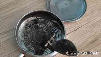 Frontignan : quand une idée pour l'environnement se concrétise dans les faits - Midi Libre