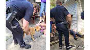 Police officers save dog who dug herself under a house in West Seneca