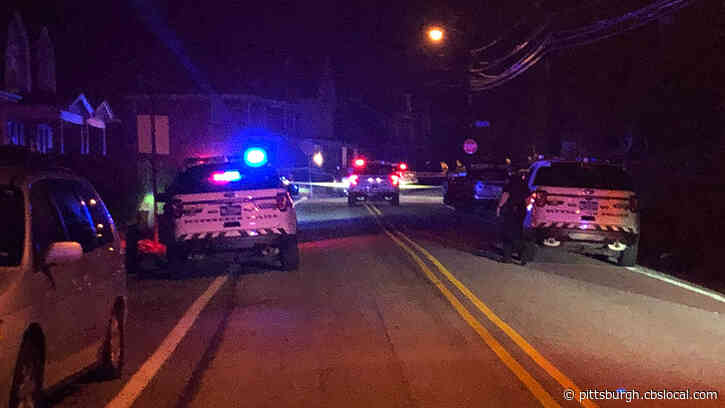 Woman In Dies After Being Shot In Homewood Early On Monday Morning