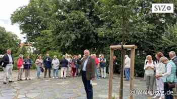 100 Jahre Heimatbund Parchim: Mitglieder und Freunde treffen sich an der neu gepflanzten Winterlinde | svz.de - svz – Schweriner Volkszeitung