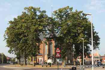 Bomenplan voor meer bomen in bebouwde omgeving (Boechout) - Het Nieuwsblad