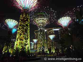 Biometric Architecture Models Buildings on Nature - Intelligent Living