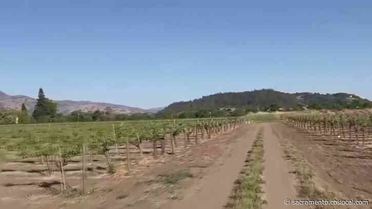 State Water Officials Preparing To Make Emergency Cutbacks To Growers And Ranchers