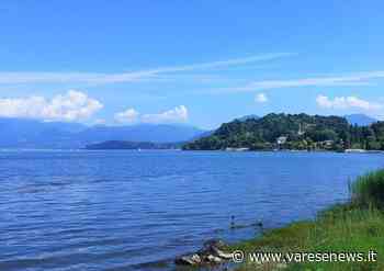 A Ispra un pomeriggio alla scoperta del Golfo della Quassa e del suo parco - varesenews.it