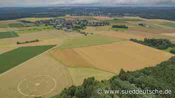 Gauting: Kornkreis im Weizenfeld bei Buchendorf - Süddeutsche Zeitung