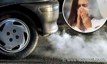 Three average Americans create enough carbon emissions in their lifetimes to kill someone