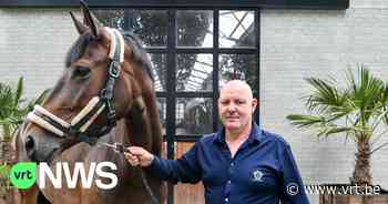 Merrie uit Beringen neemt deel aan Olympische Spelen met Mexicaanse ruiter: "Mijn 1e gefokte veulen en direct prijs" - VRT NWS