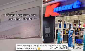 Kmart shopper finds bizarre detail in one of the retail giant's popular artworks can you spot it? 