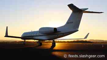 Stinkweed may be a surprising way to make greener jet fuel