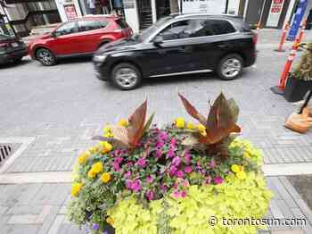 WARMINGTON: Yorkville pedestrian zone overdue or war on the car? - Toronto Sun