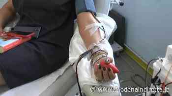 Sangue, l'appello di Avis Modena: “Donate prima di partire per le vacanze”. VIDEO - modenaindiretta.it