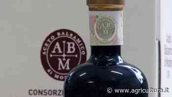 Made green in Italy, primo step per l'Aceto Balsamico di Modena - Agricultura.it
