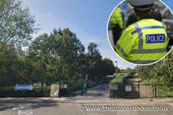 Stabbing near Lordship Recreation Ground, Tottenham