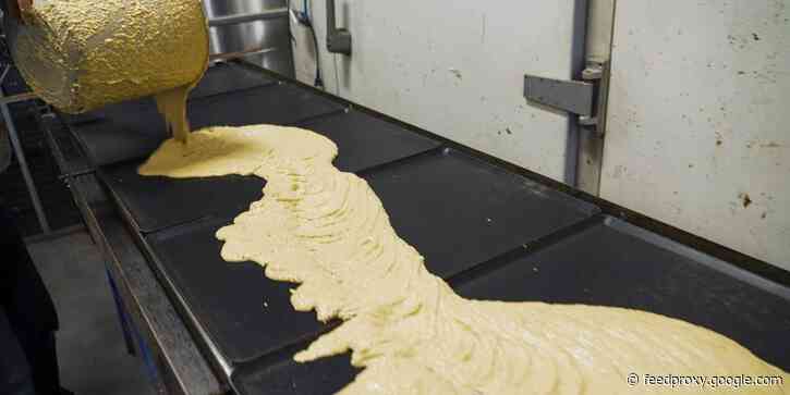 How one Dutch company is making vegan leather from mangoes