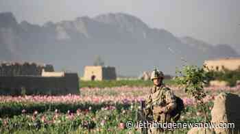 Former Afghan interpreters plead for Canada to help extended family members - Lethbridge News Now