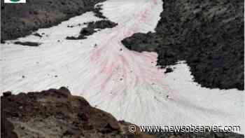 Watermelon snow is causing Mount St. Helens to turn pink, experts say. Here’s how - Raleigh News & Observer