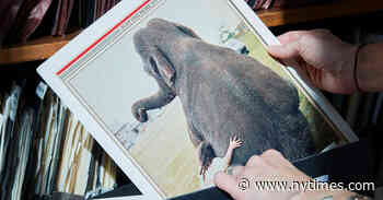 New York Public Library’s Picture Collection Will Be Archived