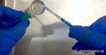 Sask. government providing drug checking test strips in Regina, Saskatoon