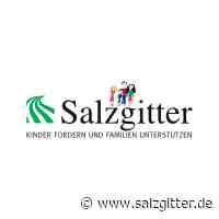 Kreiswahlausschuss „Salzgitter – Wolfenbüttel“ hat entschieden - Stadt Salzgitter