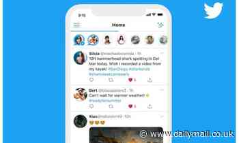 Twitter officially kills off Fleets just eight months after it launched