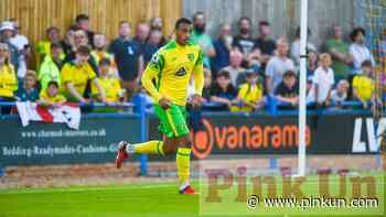 Norwich City: Chris Sutton's challenge to Adam Idah - PinkUn