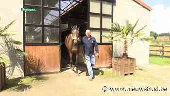 Ook Berings paard springt in Tokio