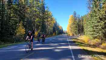 Banff National Park ponders car-free Bow Valley Parkway for spring and fall of 2022