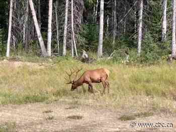 Land of Living Stories: Prince Albert National Park Edition