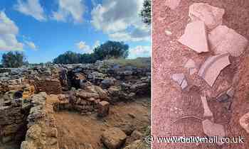Massive hoard of Roman weapons dating back to 100 BC found at an ancient settlement in Spain 