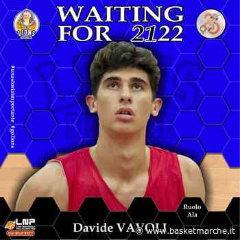 Ufficiale, i Lions Bisceglie firmano l'ala under Davide Vavoli - Serie B - Basketmarche.it