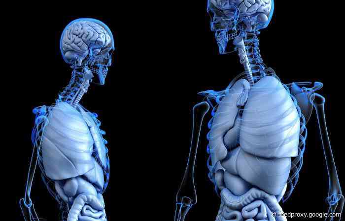 NVIDIA Deep Learning used to create 3D X-ray images