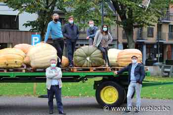 Rob Guns (CD&V) is nieuwe schepen van Onderwijs