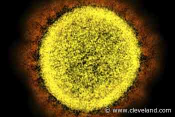 At 1,769, Ohio’s Tuesday coronavirus cases hit a high not seen since late April - cleveland.com