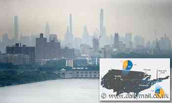 Smelly deodorants and sun blocks are responsible for causing the majority of smog in New York City