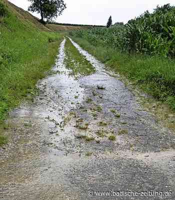 Geschenk für Neubürger in Nordweil - Kenzingen - Badische Zeitung