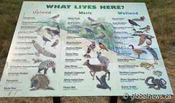 Request made to Town of Coaldale to change signs meant to offer wetland information