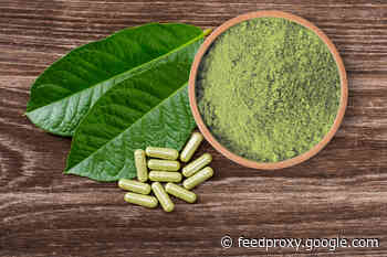 Kratom: What Does Science Say About the Controversial Botanical?