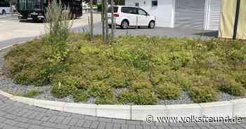 Busbahnhof Daun Mehrkosten für die Stadt - Trierischer Volksfreund