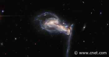 NASA Hubble Space Telescope snaps 'squabbling galactic siblings'     - CNET