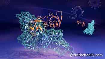 Scientists Catch Shape-Shifting Coronavirus Protein Complex in the Act