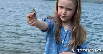 Little girl finds unique fossil at Alberta lake