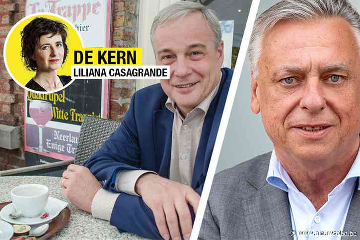 “Het grote probleem van fusies is dat politici moeten knippen in hun eigen vleugels”